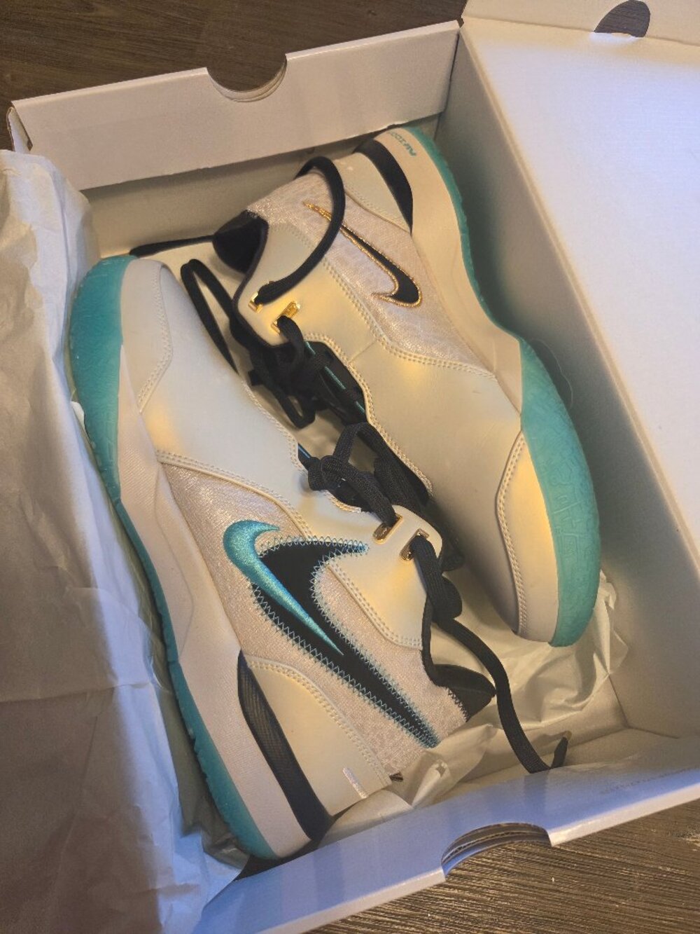 ZM LEBRON NXXT GEN AMPD